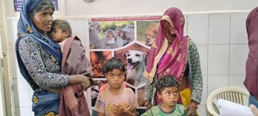 शिवपुरी में खेत पर खेल रहे मासूम तीन बच्चों को कुत्ते ने काटा, मां कर रही थी मजदूरी, चीख सुनकर आई / Shivpuri News news image