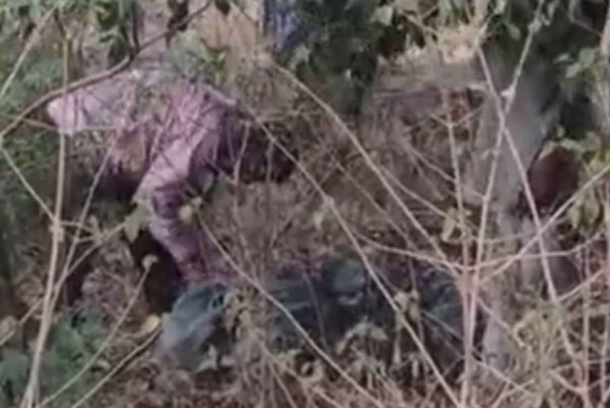 Shivpuri Tragedy: Teen's Body Found; Rape, Murder Alleged news image