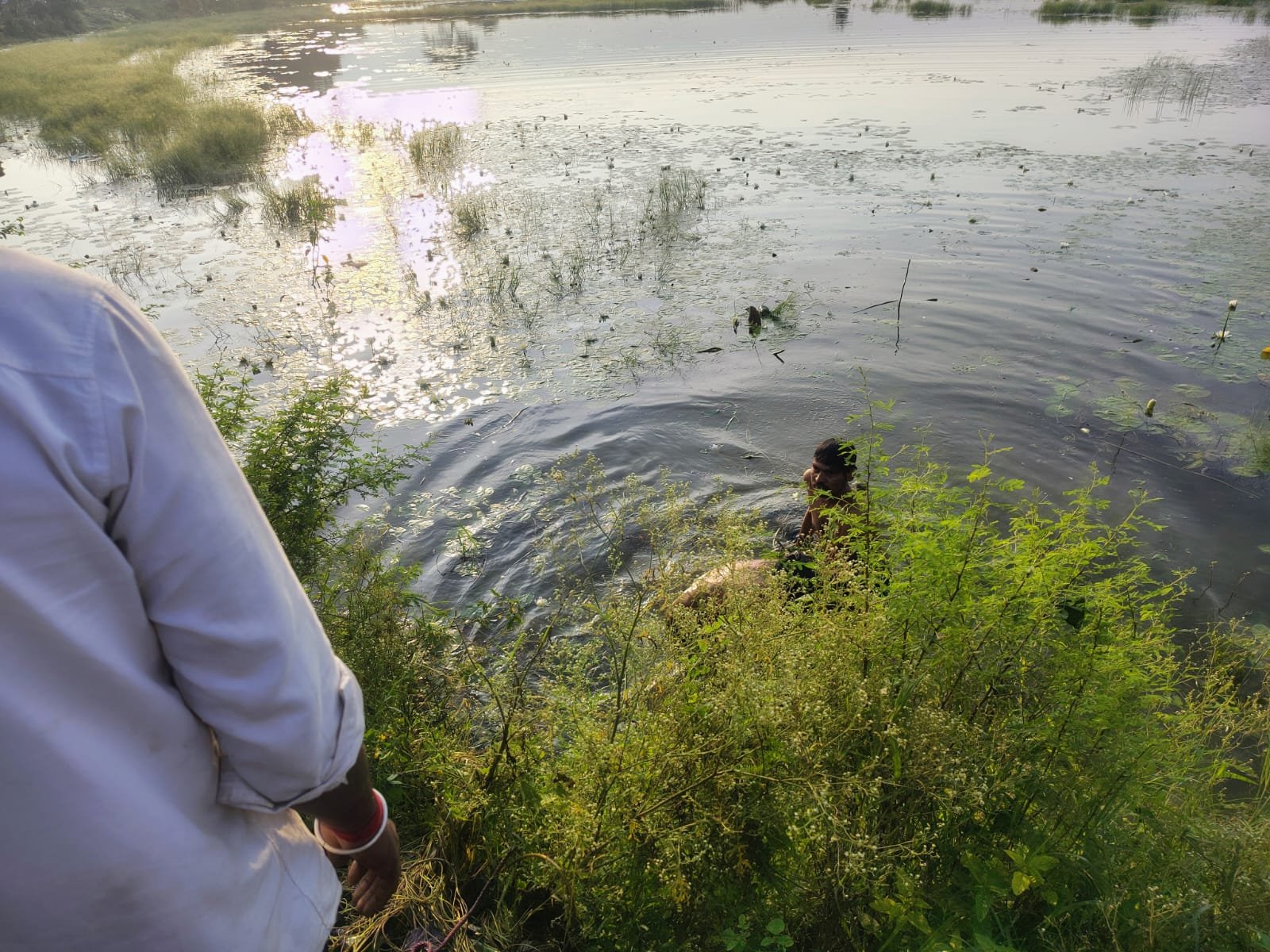 गणेश विसर्जन के बीच तालाब में डूबा मूकबधिर युवक, सुबह बेलों में फंसा मिला 25 वर्षीय हरगोविंद का शव / Shivpuri News