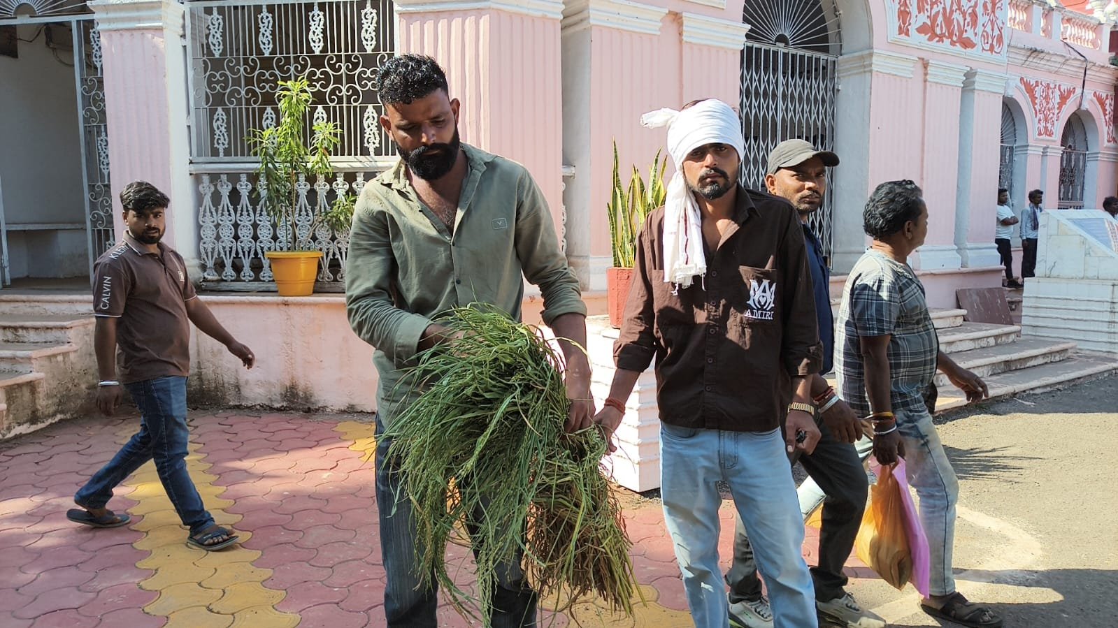 खराब धान की फसल लेकर जनसुनवाई में पहुंचा किसान रंजोर सिंह, मंगल बीज भंडार से खरीदे बीज पर उठाए सवाल / Shivpuri News