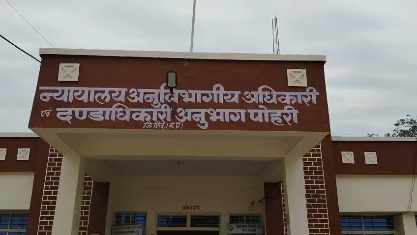 सोनीपुरा की सर्वे नंबर 46 की जमीन की बिक्री पर एसडीएम ने लगाई रोक, सार्वजनिक सूचना जारी / Shivpuri News