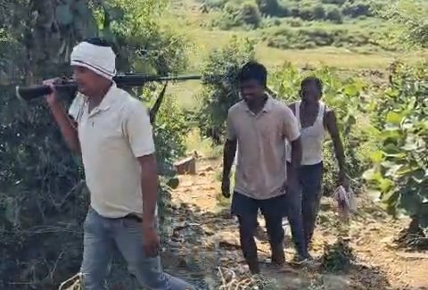 बीलपुरा के जंगल में 7-8 बंदूकधारी बदमाशों का हमला, 100 भैंसें छोड़कर भागे / Shivpuri News